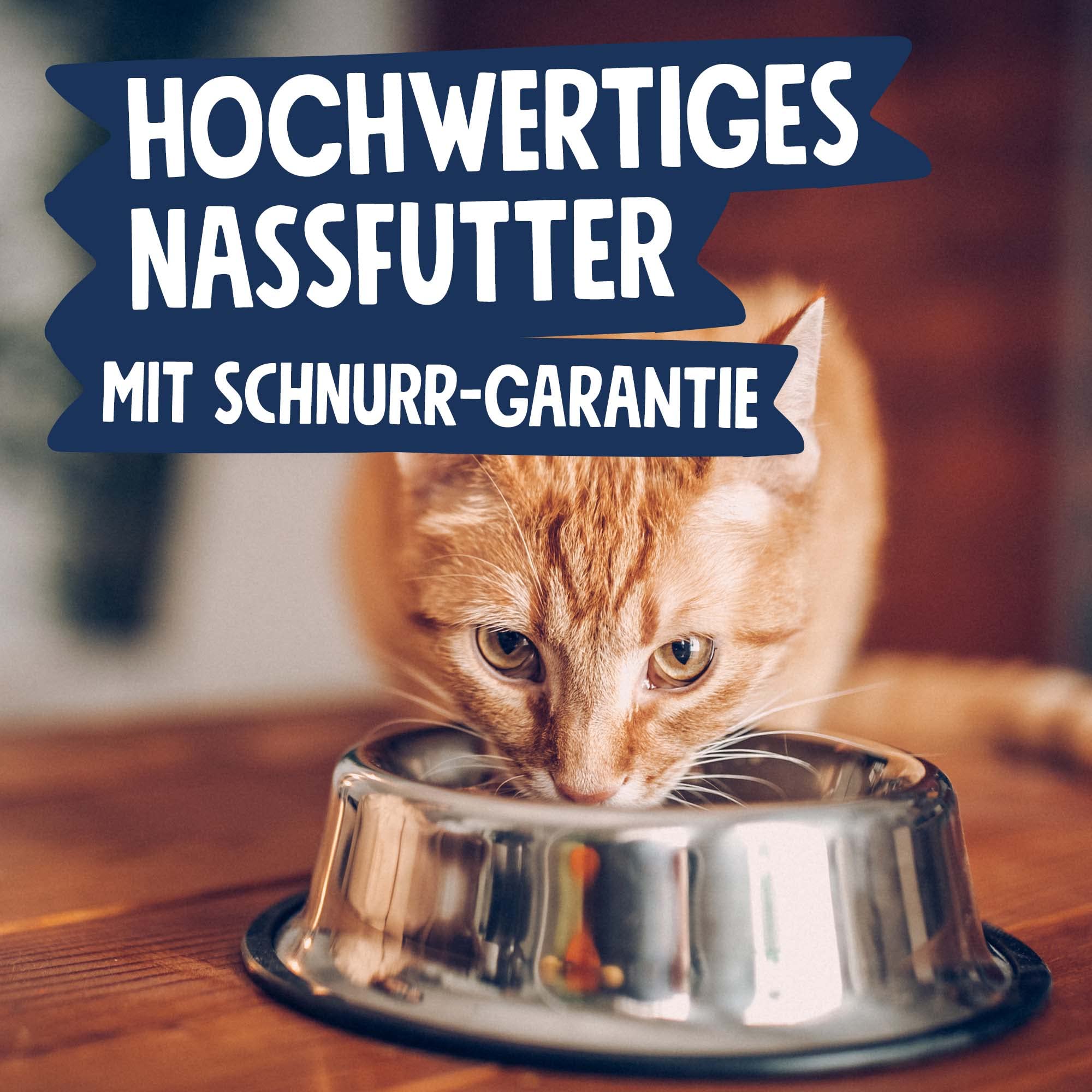 pets-deli-pure-meat-katzen-nassfutter-ente-l-wenzahn-12x85g image 3