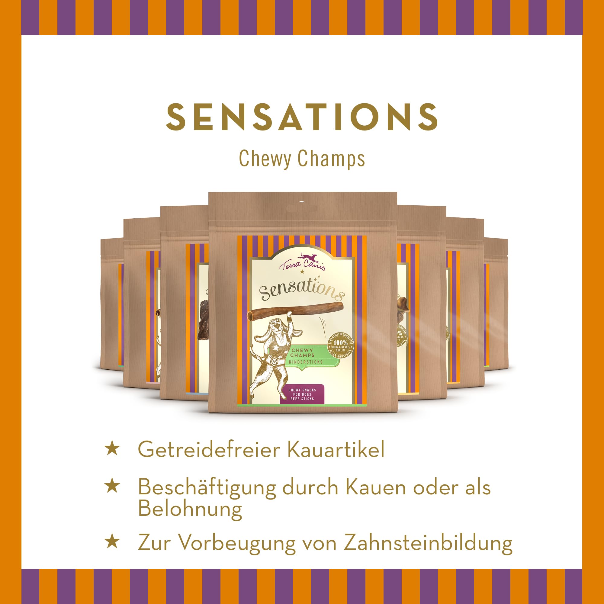terra-canis-chewy-champs-rinderpansen-kauartikel-150g image 2
