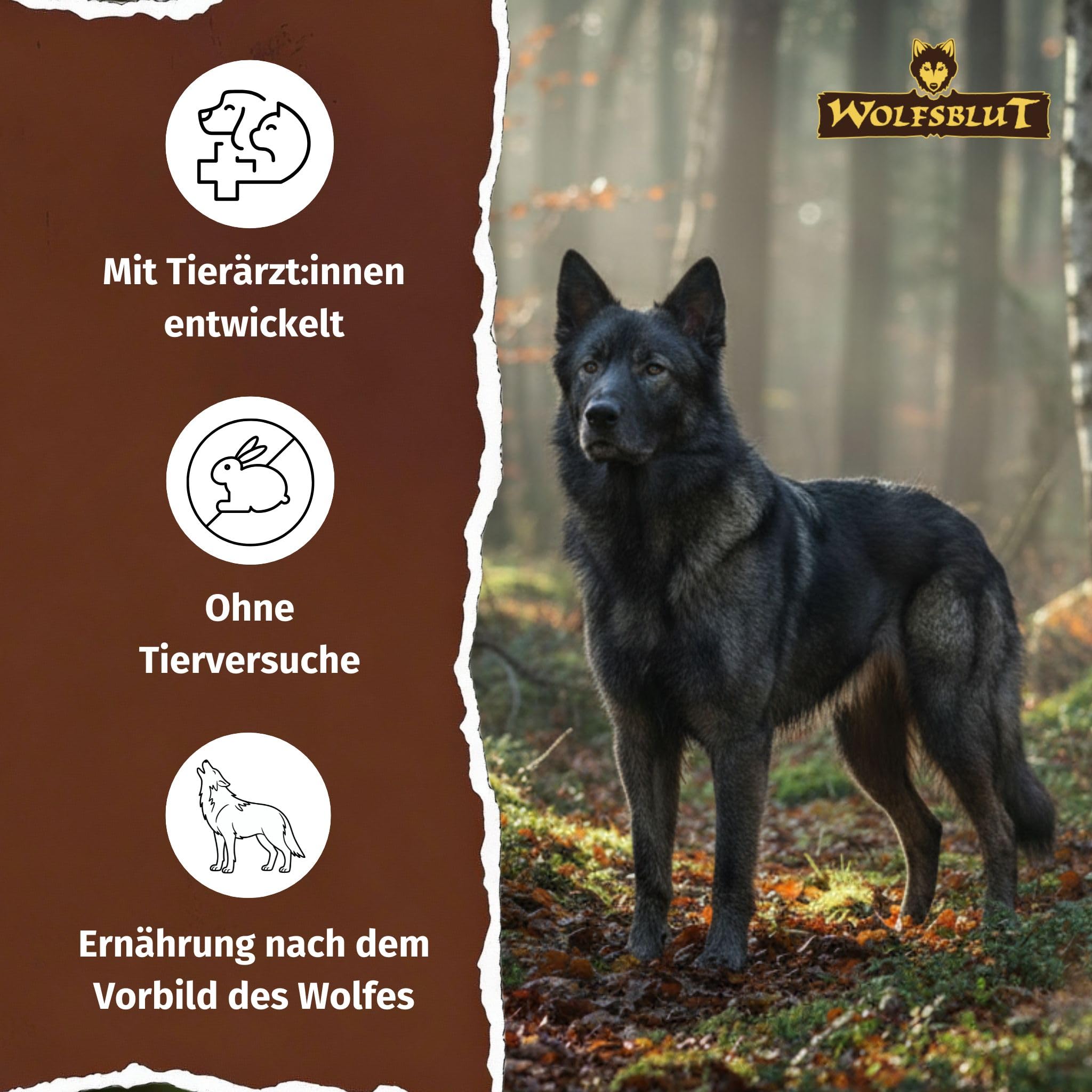 wolfsblut-dark-forest-adult-trockenfutter-f-r-hunde-wild-getreidefrei-12-5-kg image 4