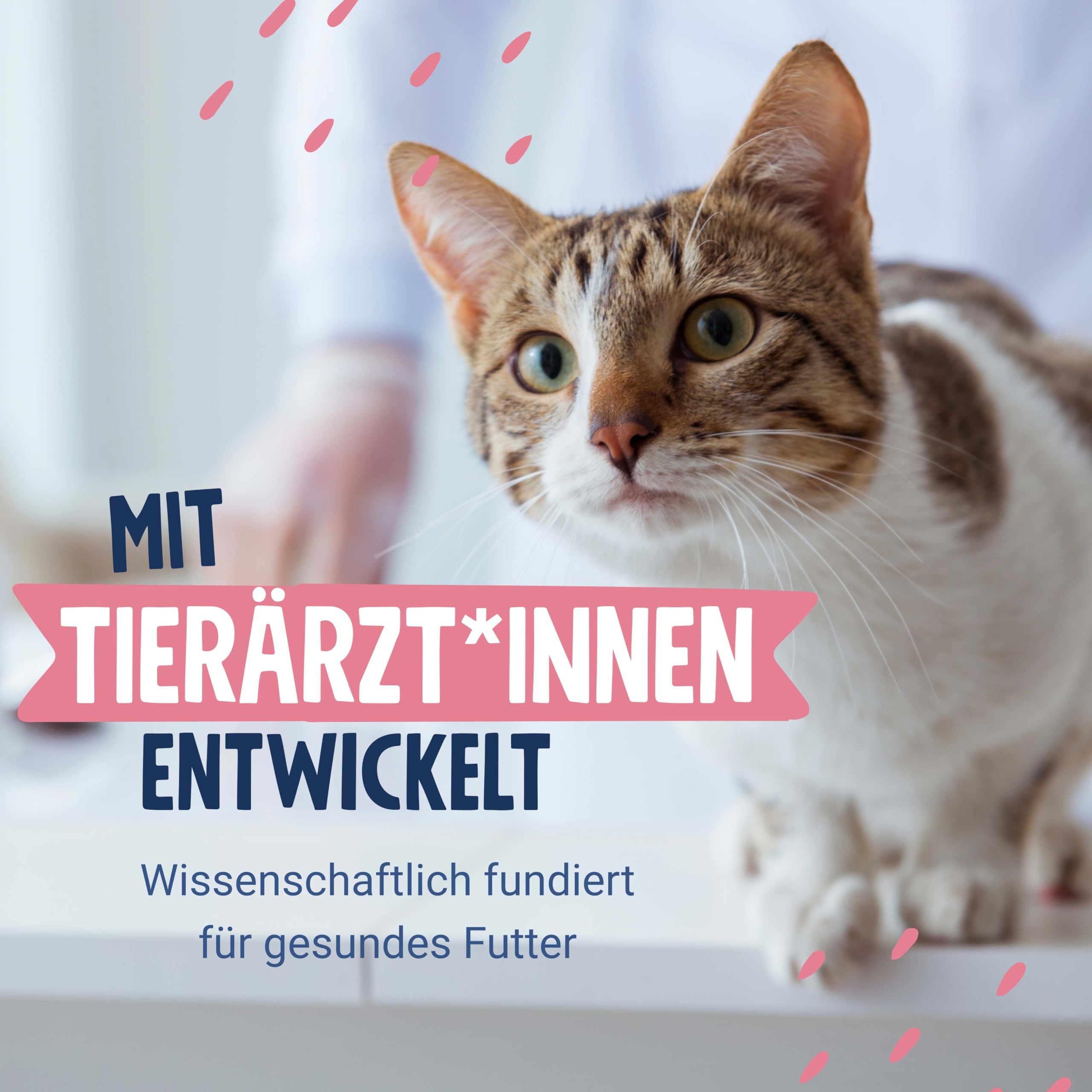pets-deli-creme-snack-f-r-katzen-mit-ente-jakobsmuschel-8x90g image 3