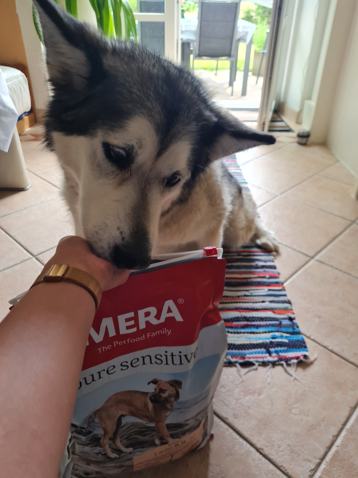 Gut, Hund mag es echt gern