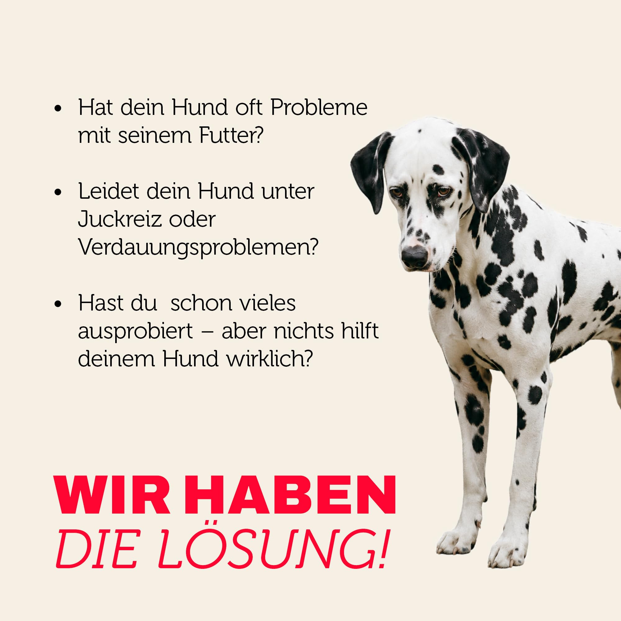 mera-pure-sensitive-truthahn-kartoffel-trockenfutter-getreidefrei-12-5-kg image 2