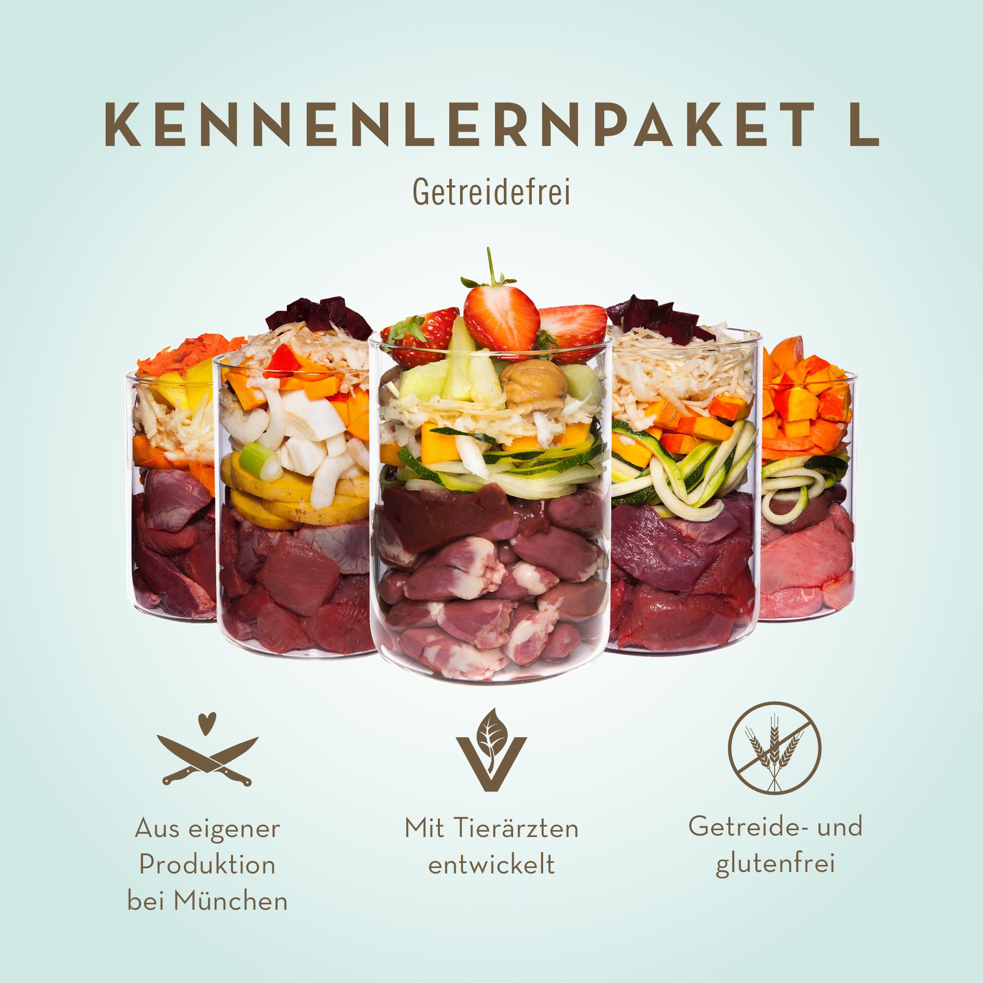 terra-canis-kennenlernpaket-getreidefrei-nassfutter-9x400g image 3