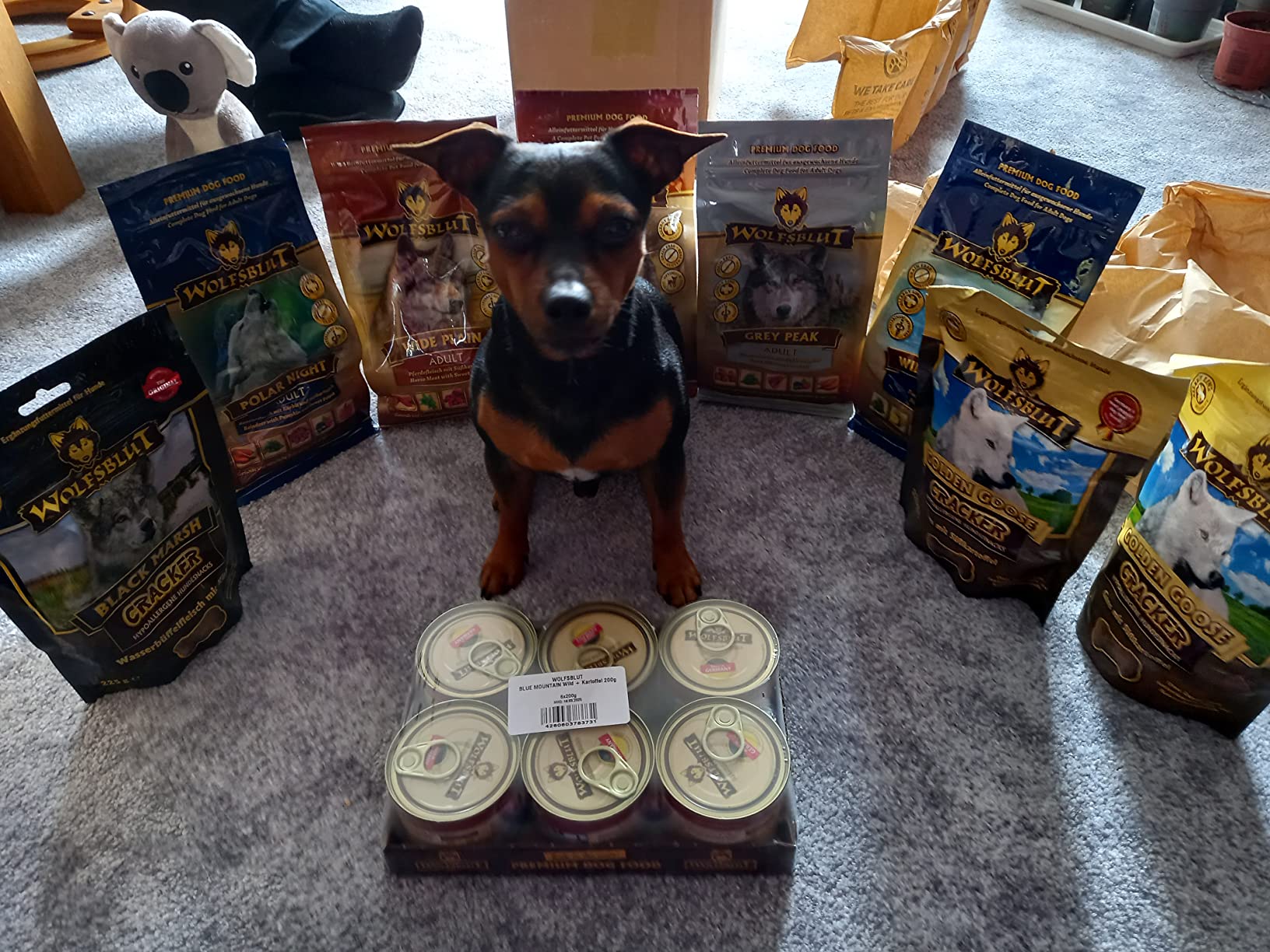 Testpaket genial
