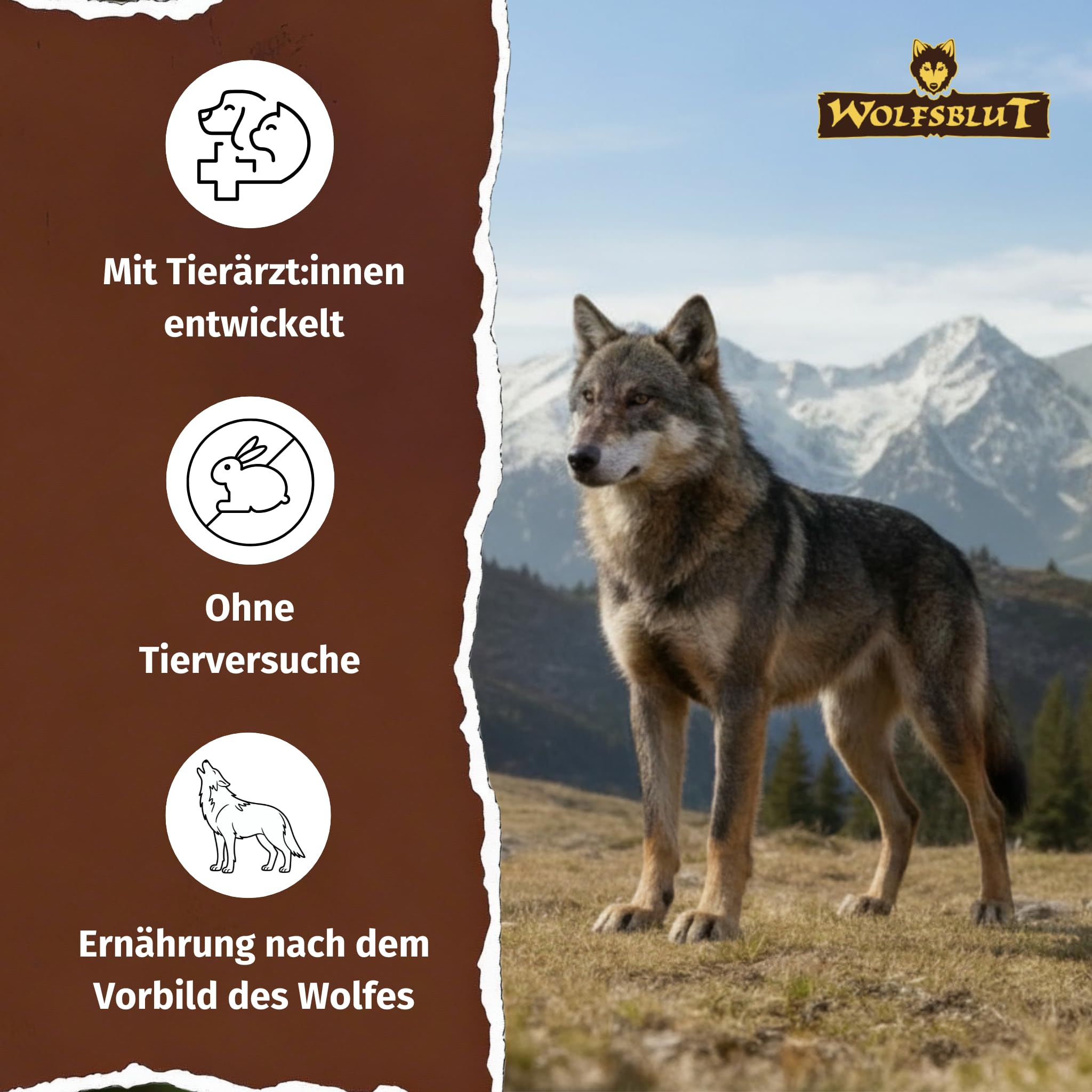 wolfsblut-black-bird-adult-truthahn-trockenfutter-getreidefrei-12-5-kg image 5
