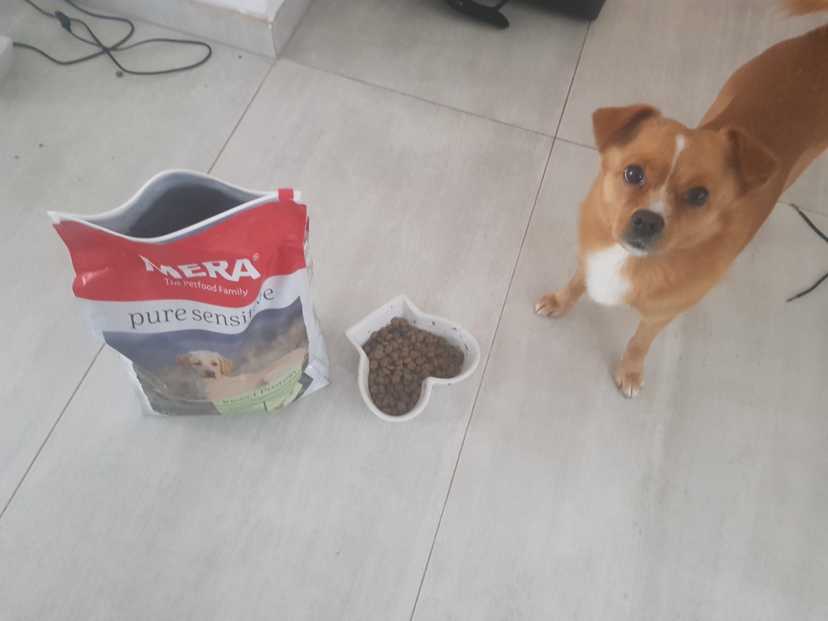 Tierheilpraktikerin begeistert