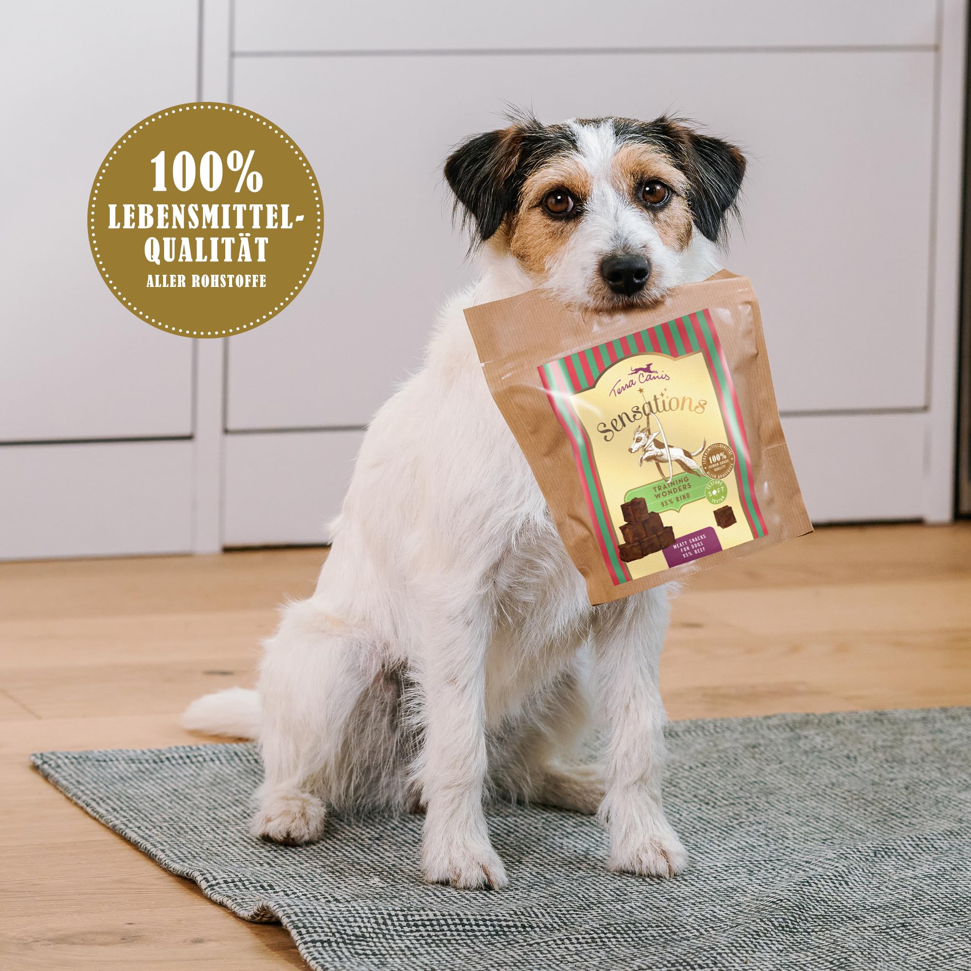 terra-canis-training-wonders-sensations-hundesnack-pferd-mono-protein-90g image 6