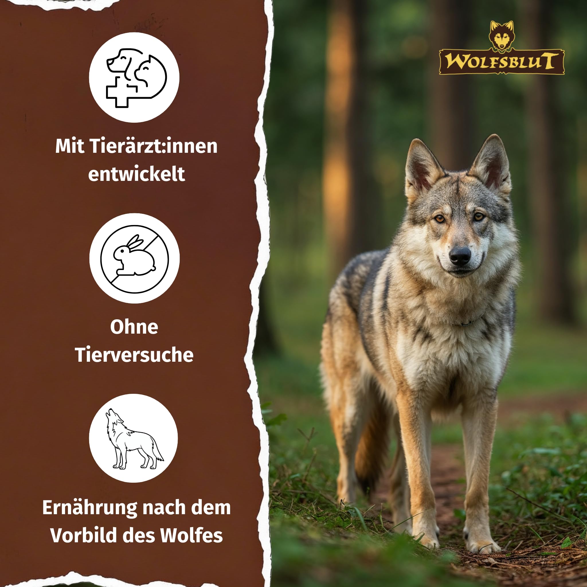 wolfsblut-wild-duck-adult-trockenfutter-f-r-hunde-mit-ente-2kg image 4
