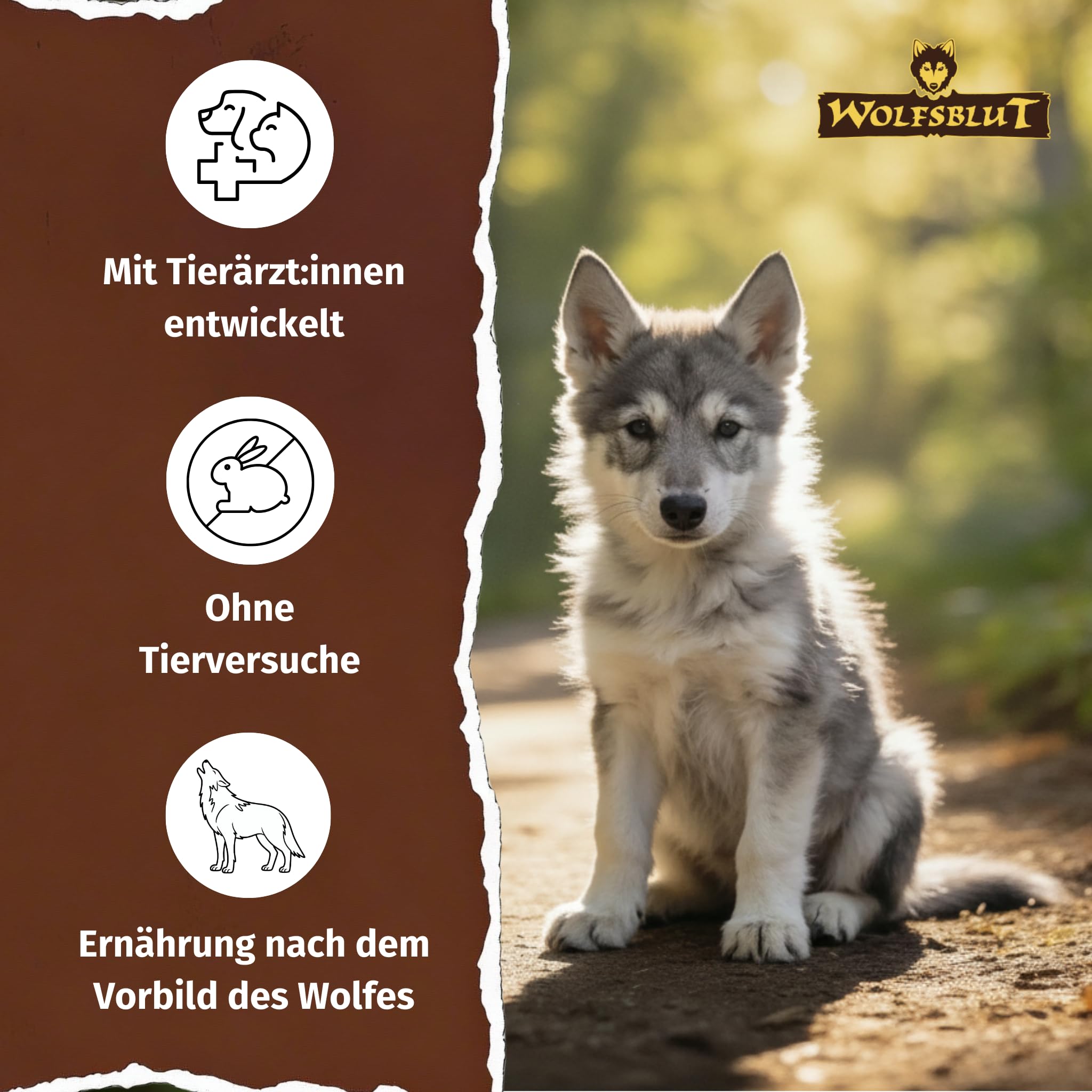 wolfsblut-wild-duck-large-breed-puppy-trockenfutter-getreidefrei-12-5-kg-ente image 3