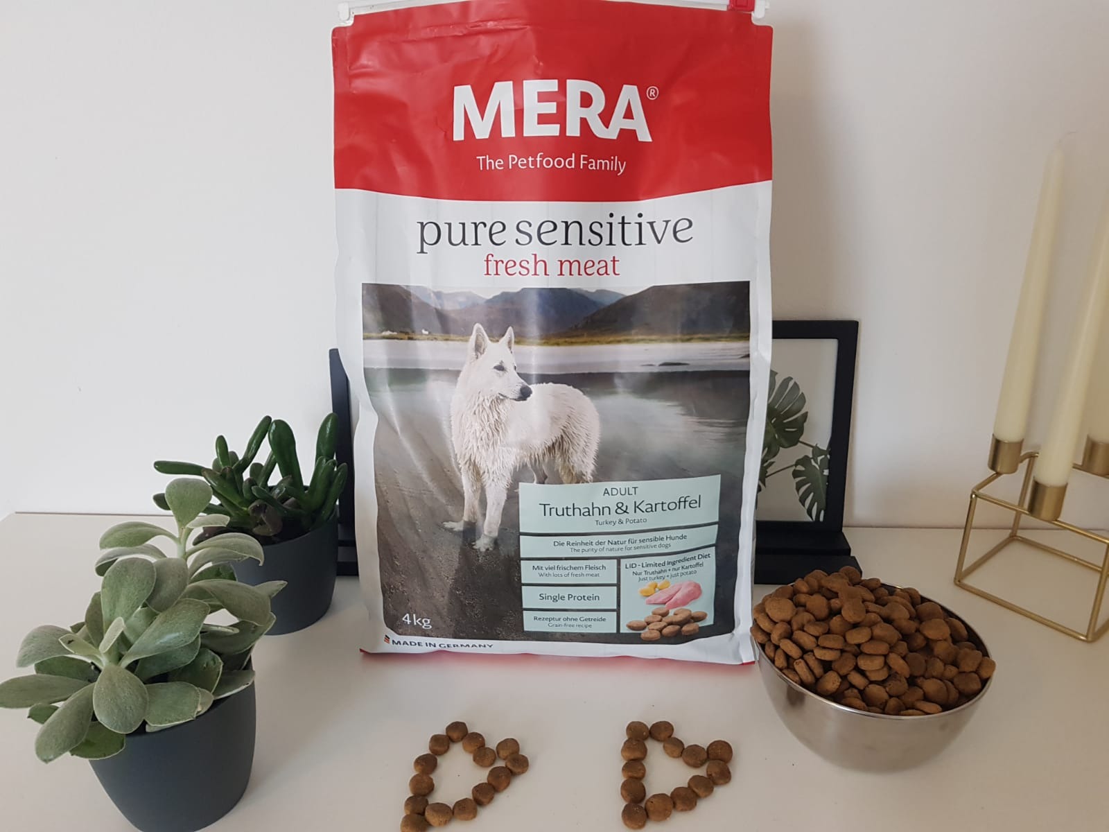 Rettung für Allergiehund