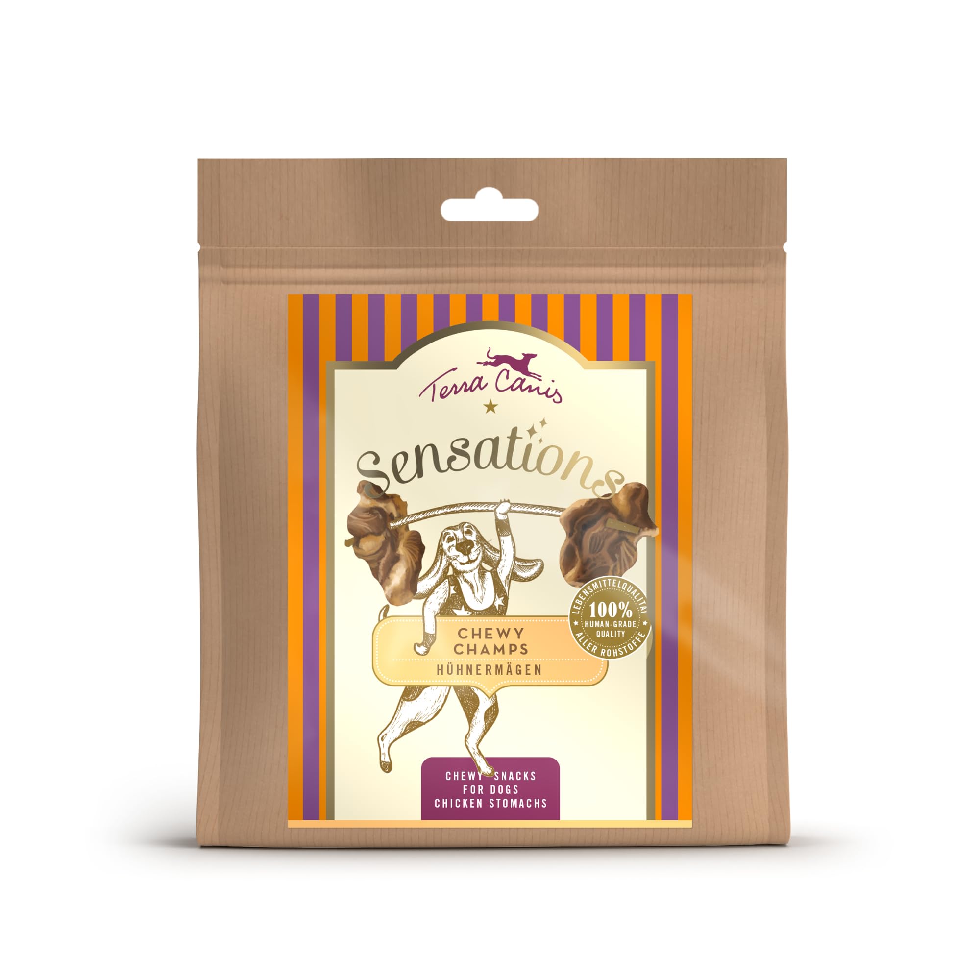 terra-canis-chewy-champs-rinderpansen-kauartikel-150g image 6