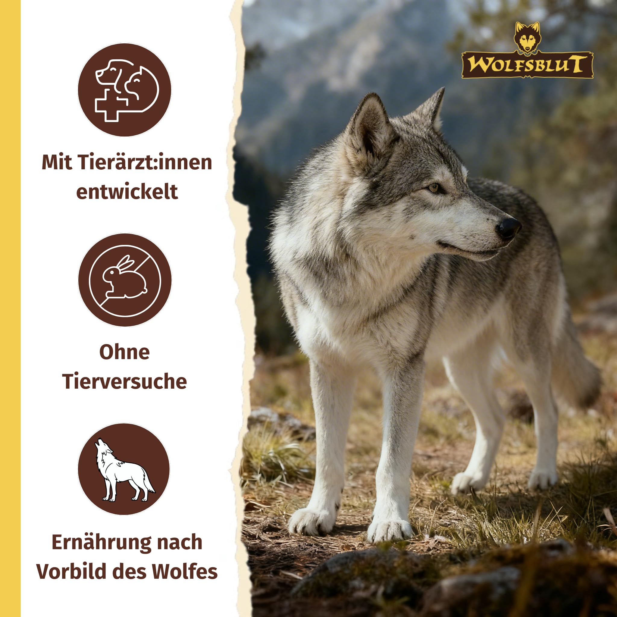 wolfsblut-vetline-skin-coat-wei-fisch-hundetrockenfutter-2kg image 5