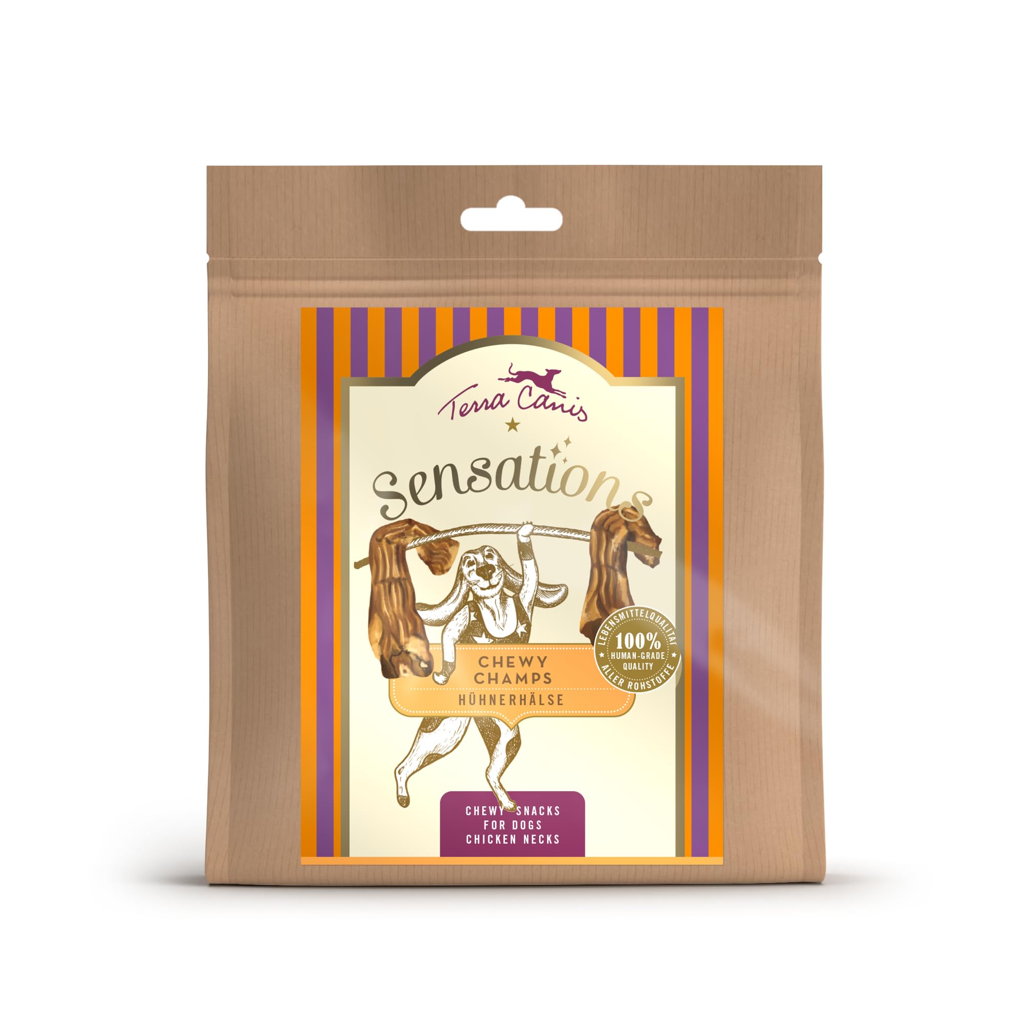 terra-canis-chewy-champs-rinderpansen-kauartikel-150g image 8