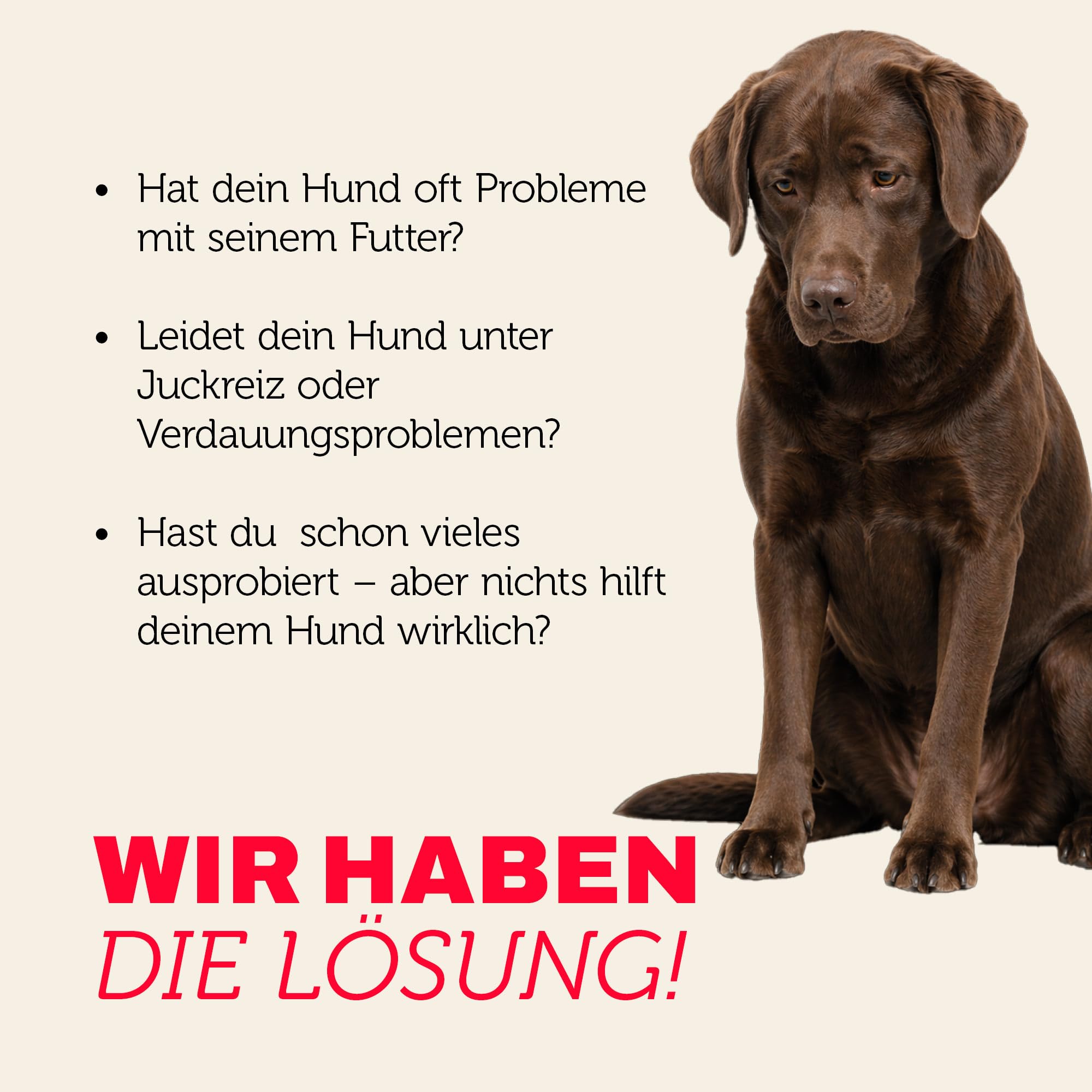 mera-pure-sensitive-insekt-protein-12-5-kg-getreidefreies-hundefutter-nach-limit image 3