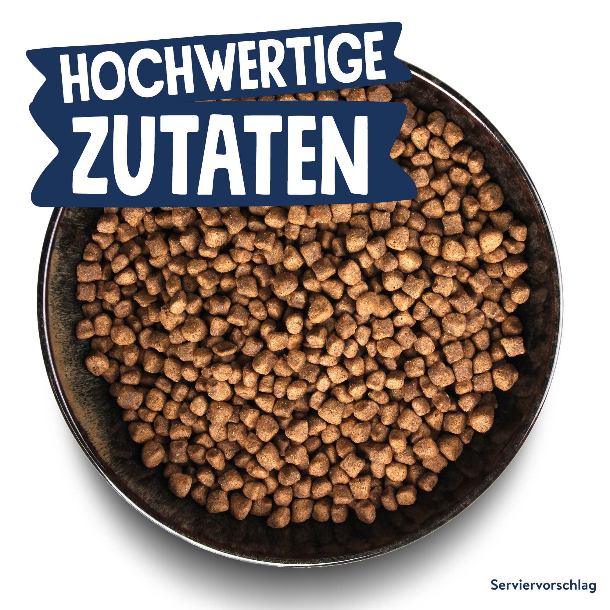 pets-deli-green-trockenfutter-f-r-hunde-mit-insekten-amaranth-4kg image 6