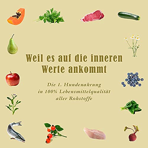 terra-canis-kennenlernpaket-welpen-nassfutter-7x400g-snacks image 3