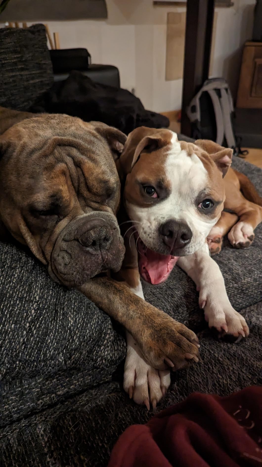 Mager und super verträglich