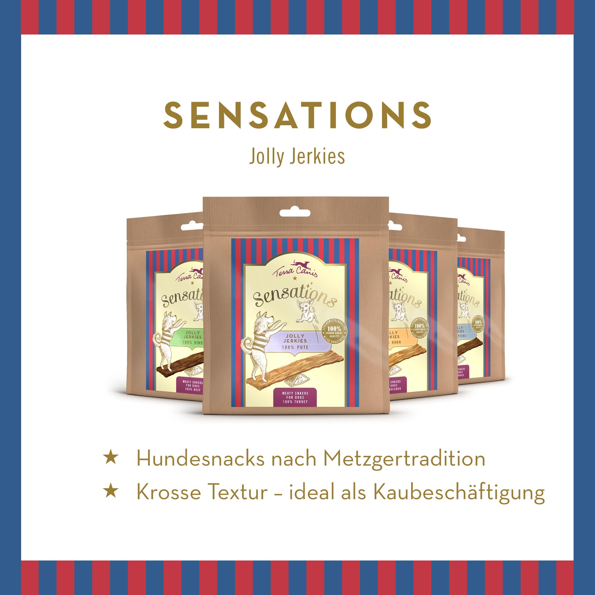 terra-canis-pferd-jolly-jerkies-sensations-hundesnack-90g image 2