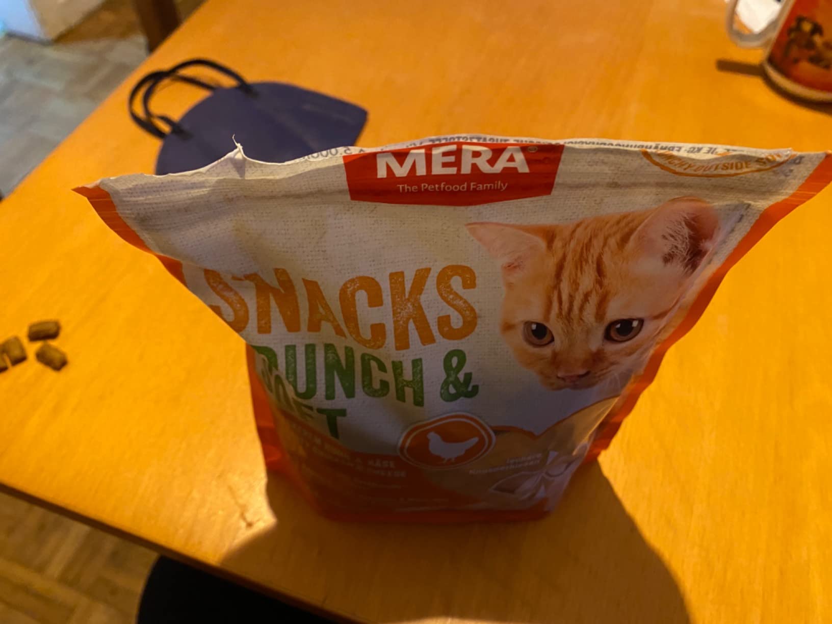Jungkatzen lieben es
