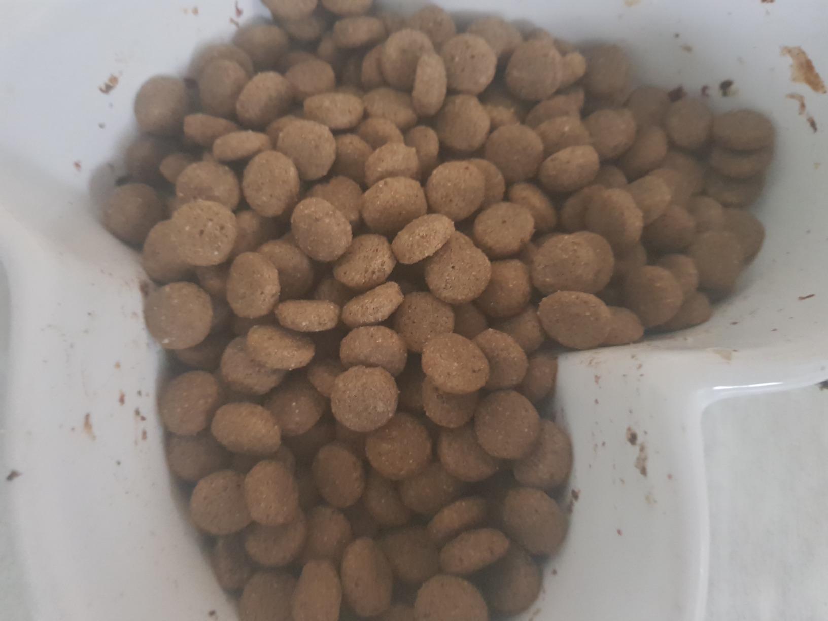 Wirkt, aber Hund mäkelt