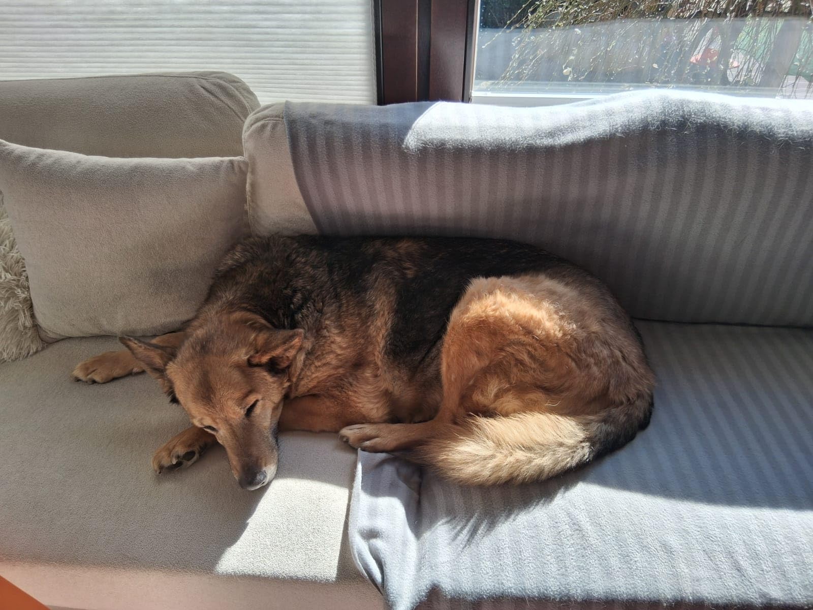 Endlich frisst er wieder gerne