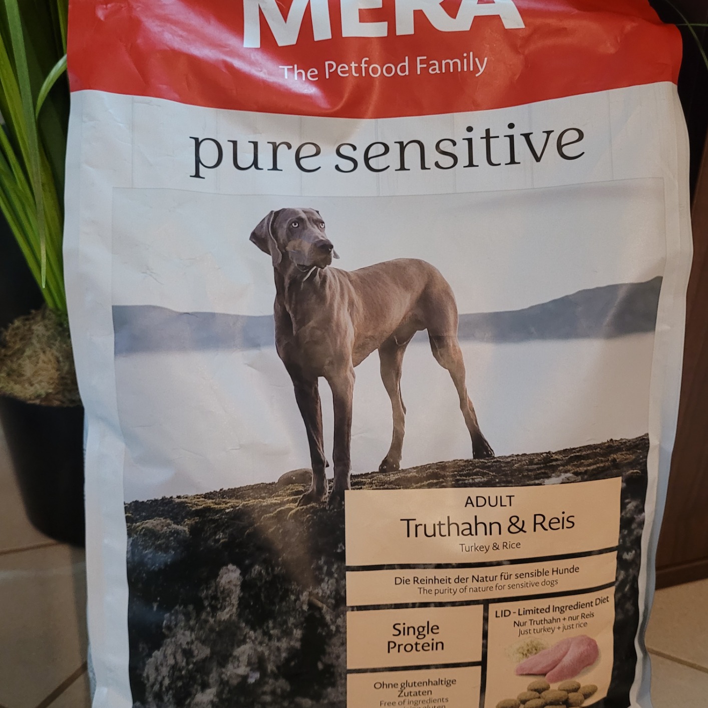 Wenig Fett, Hund liebt es
