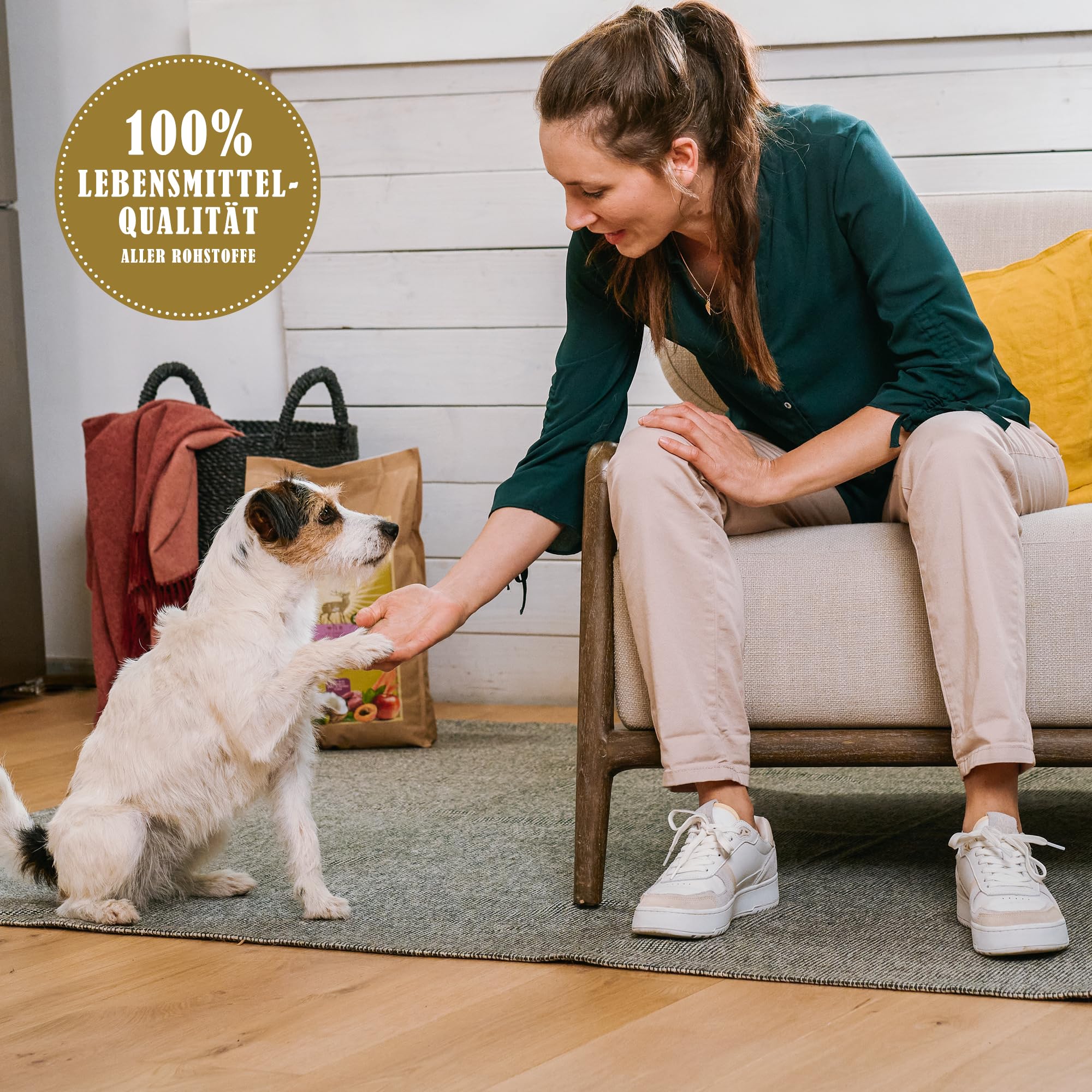 terra-canis-chewy-champs-rinderpansen-kauartikel-150g image 5