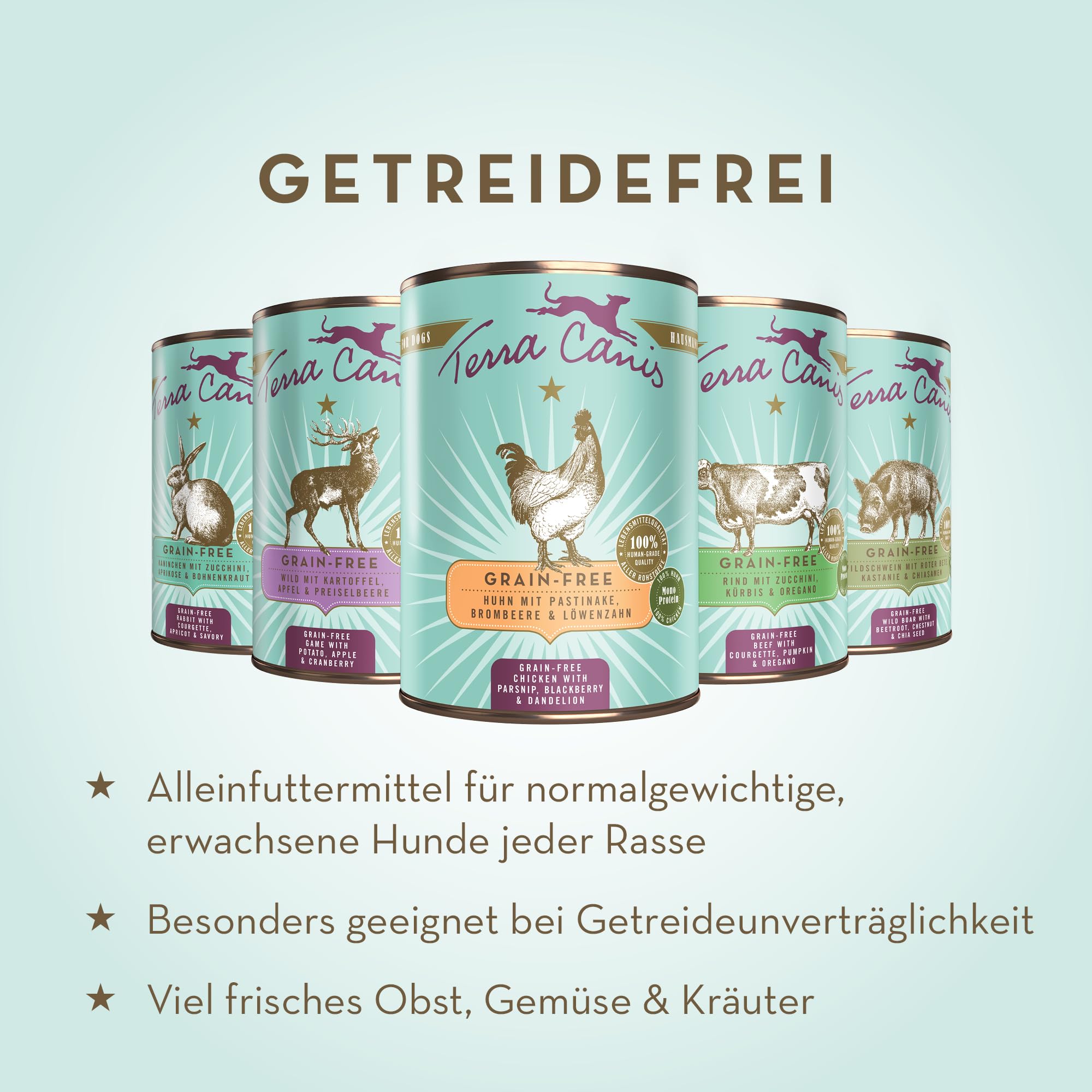 terra-canis-pferd-mit-steckr-be-getreidefrei-hundenassfutter-400g-mono-protein image 2