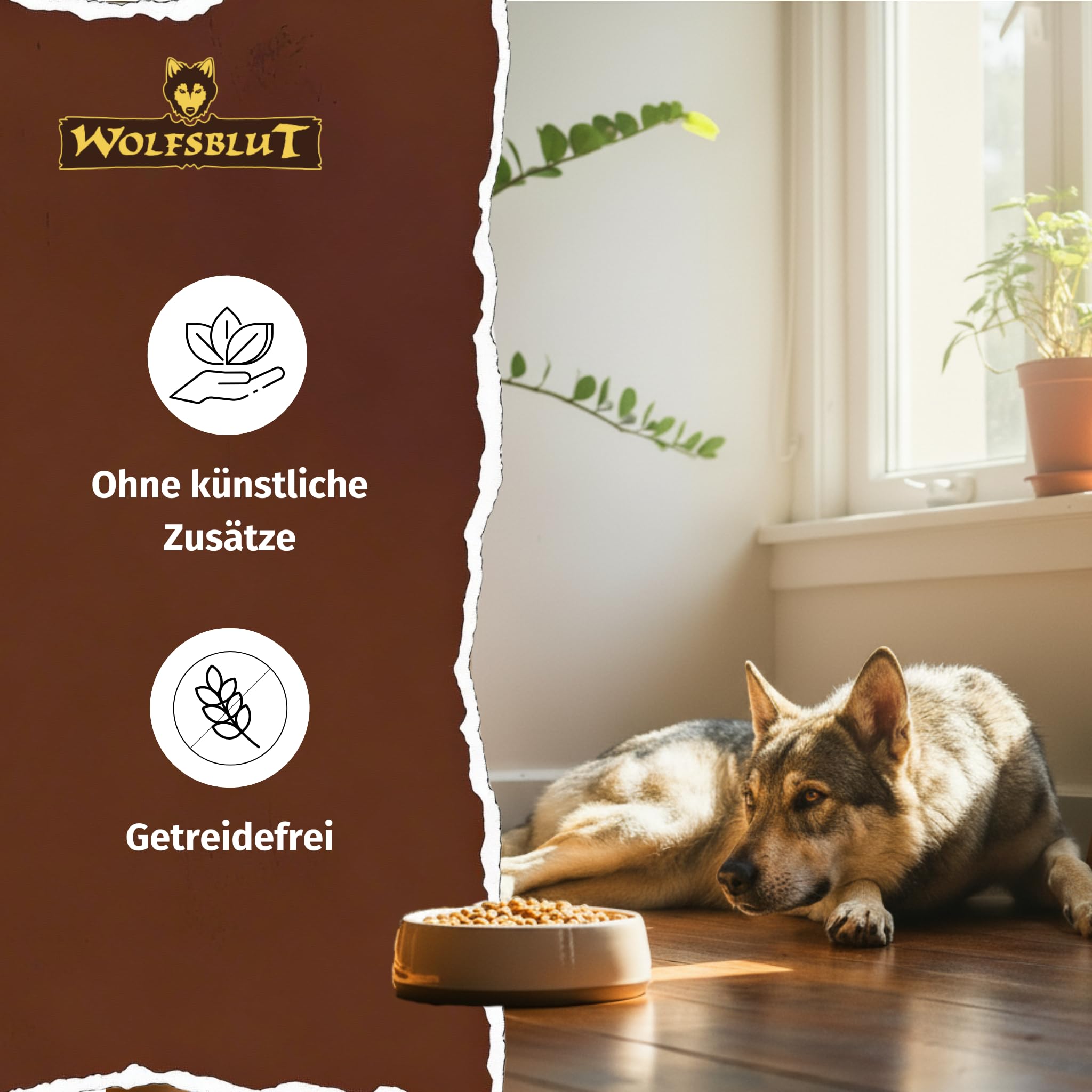 wolfsblut-green-valley-adult-12-5-kg-getreidefreies-hundefutter-mit-lamm-lachs-u image 2