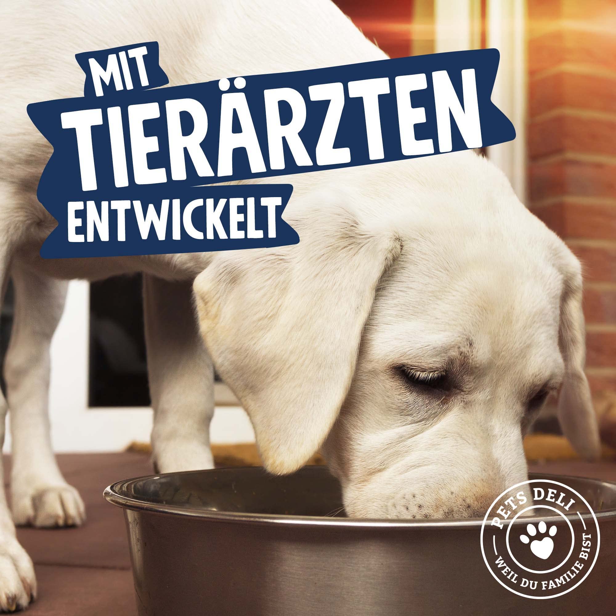 pets-deli-green-nassfutter-insekten-kartoffel-6x400g image 7