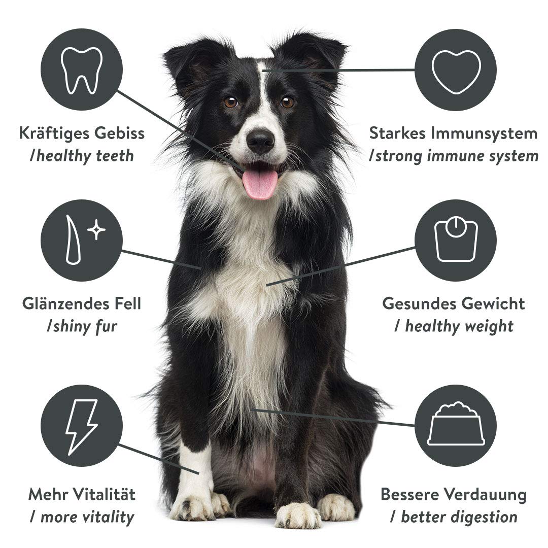 pets-deli-trockenfutter-kaltgepresst-f-r-hunde-huhn-mit-kartoffel-apfel-und-gart image 4