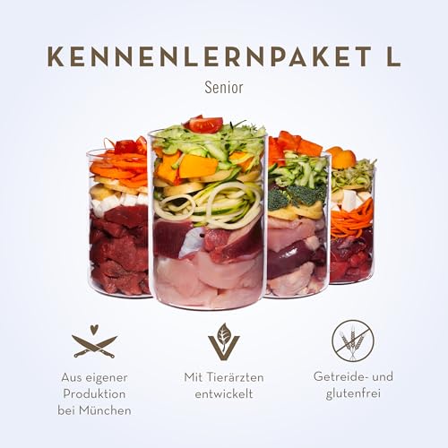terra-canis-senior-nassfutter-kennenlernpaket-9-x-400-g image 8