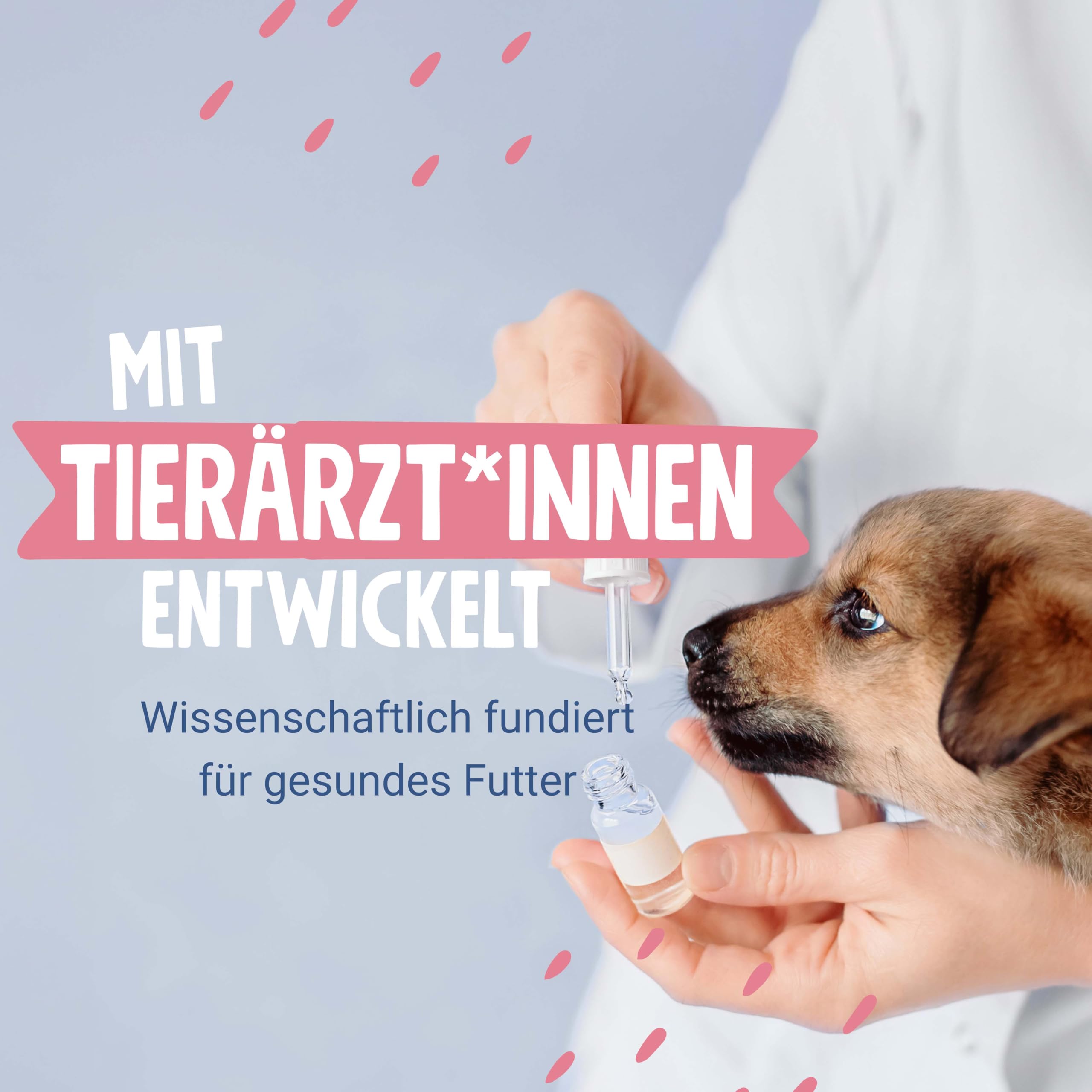 pets-deli-classic-trockenfutter-f-r-hunde-forelle-nordseelachs-getreidefrei-6kg image 7