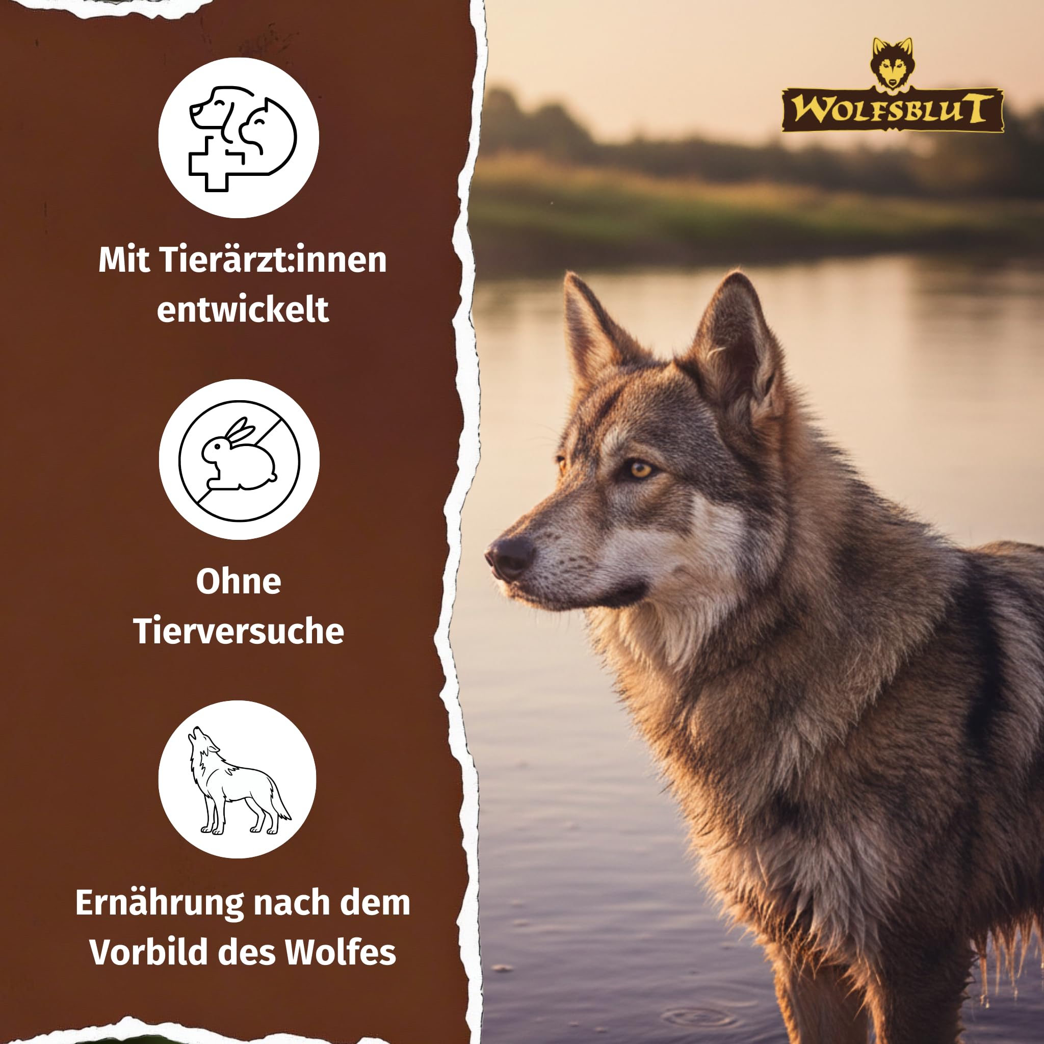 wolfsblut-wide-plain-adult-light-trockenfutter-f-r-hunde-pferd-fettreduziert-get image 4