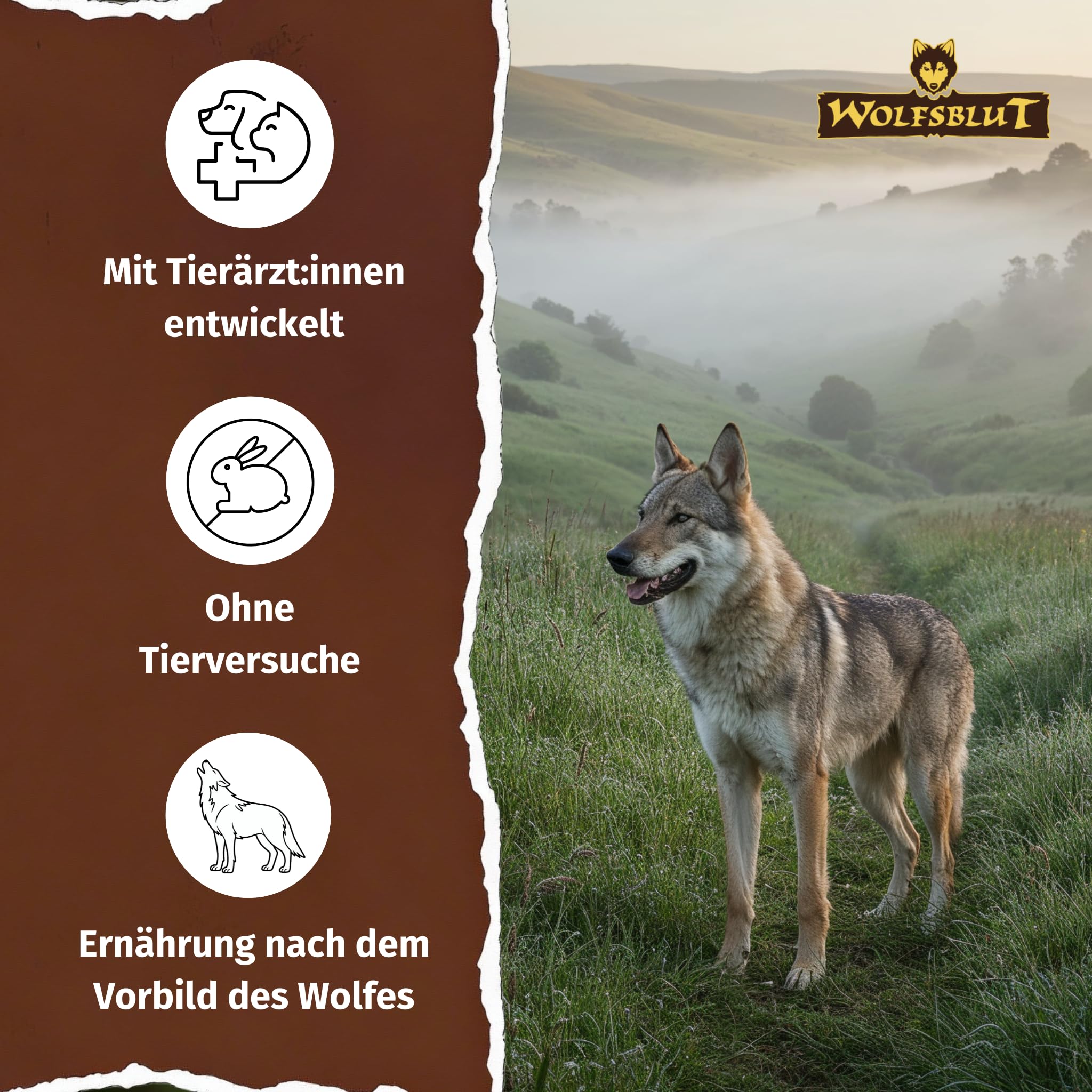 wolfsblut-green-valley-adult-12-5-kg-getreidefreies-hundefutter-mit-lamm-lachs-u image 4