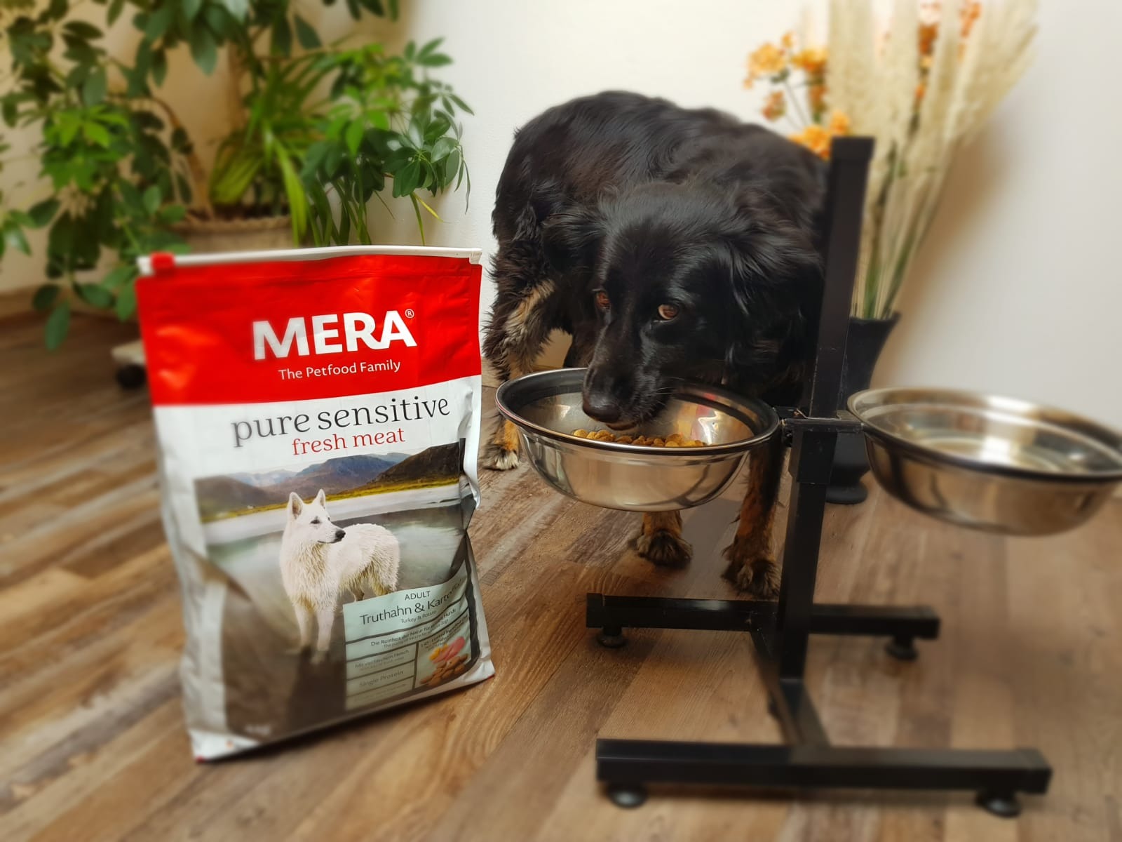 Super verträglich