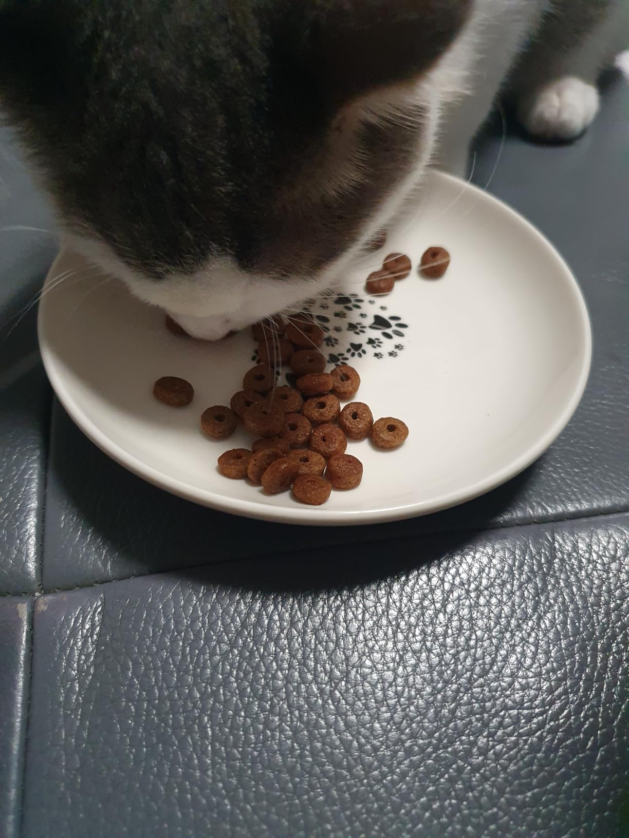 Kratzen fast weg