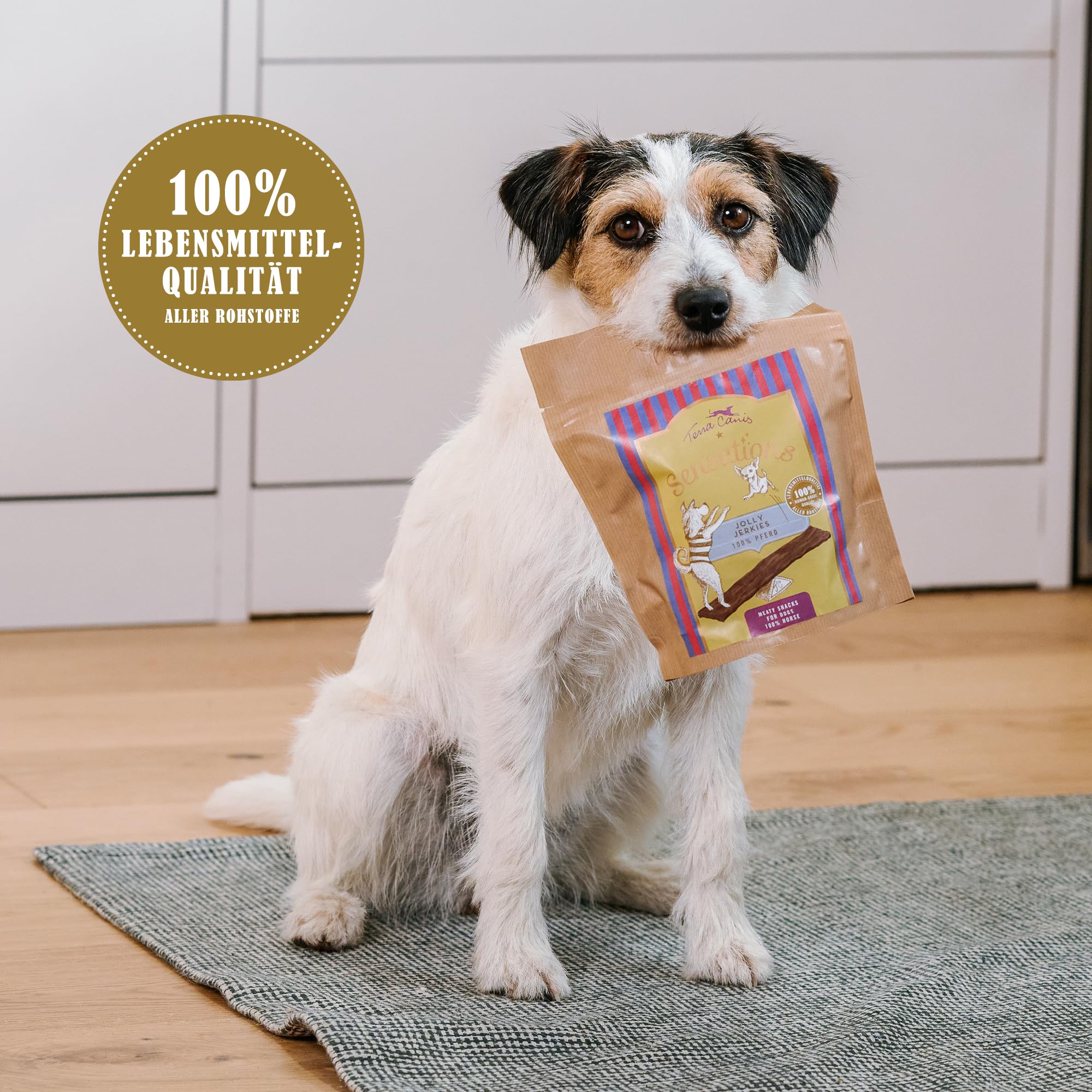 terra-canis-pferd-jolly-jerkies-sensations-hundesnack-90g image 6