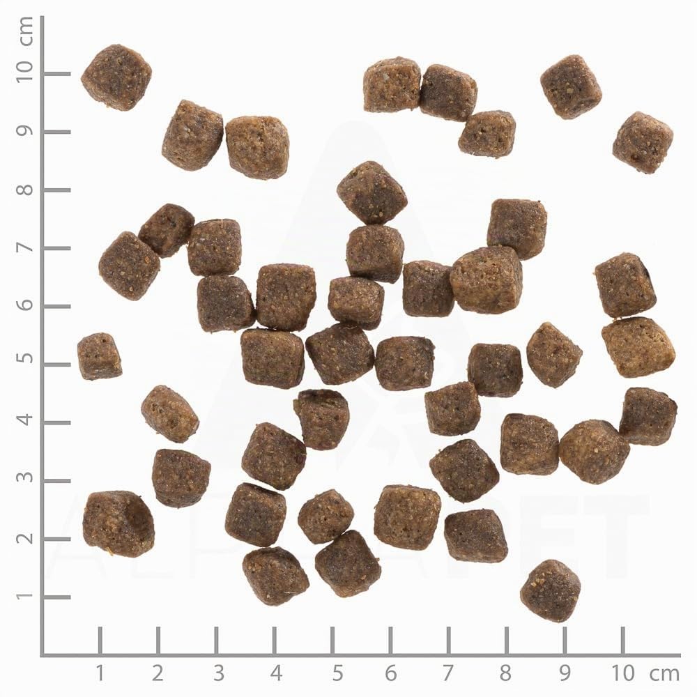 wolfsblut-deep-glade-puppy-trockenfutter-getreidefrei-2kg-hirsch image 3